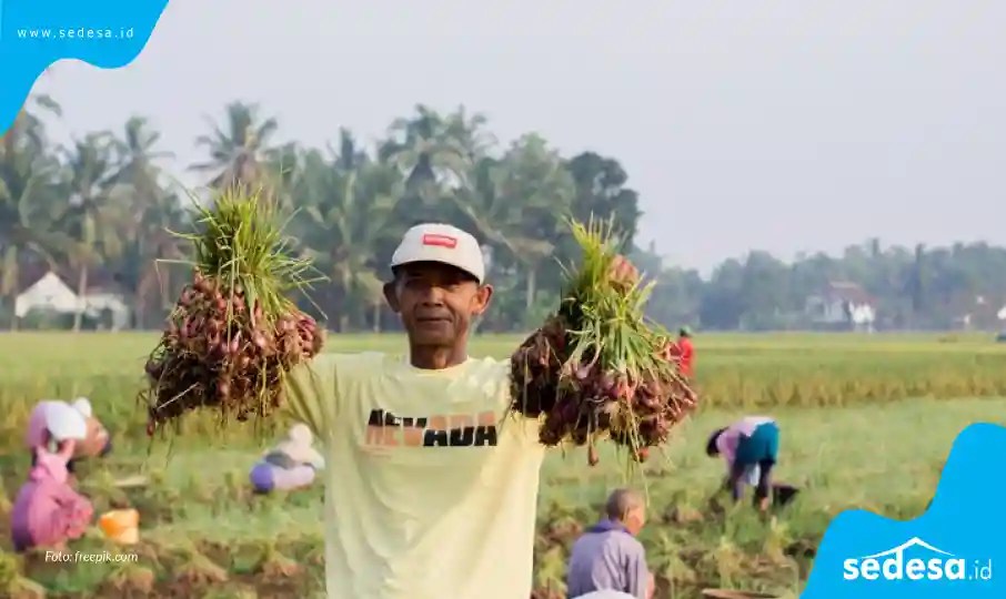 Koperasi Tri Murti: Solusi Keuangan Lokal yang Mengerti Anda